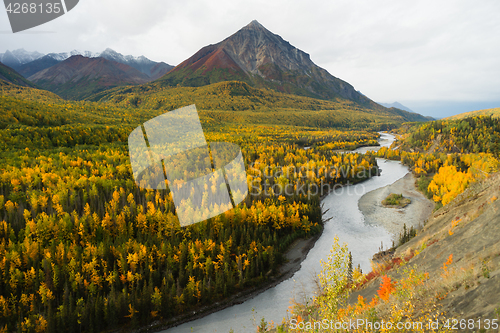 Image of Matanuska River Flows utumn Season Fall Color Alaska