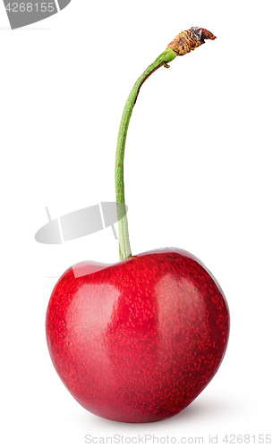 Image of Single sweet cherry vertically