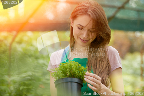 Image of Woman with potted plant