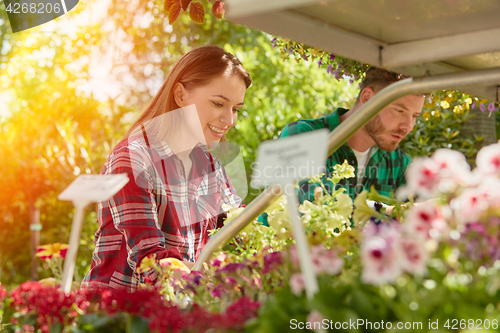 Image of Man and woman with flowers in garden