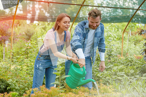 Image of Gardeners watering plants in hothouse