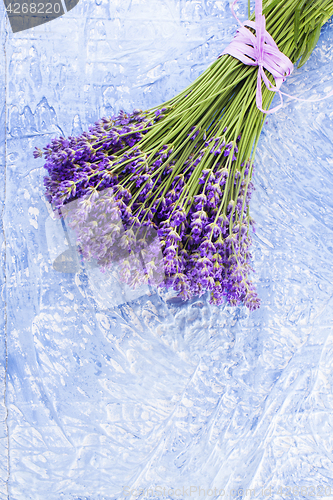 Image of bunch of lavender