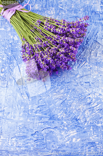 Image of bunch of lavender