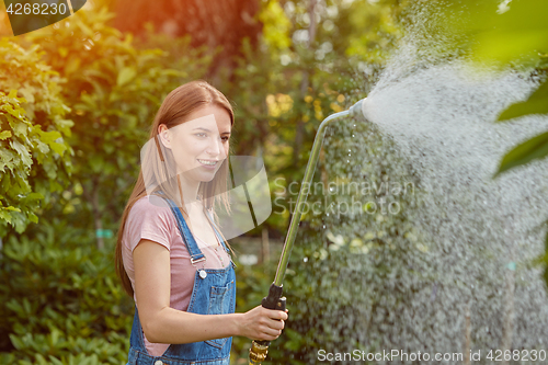 Image of Gardeners watering plants