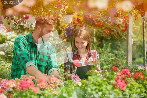 Image of Man and woman working with garden flowers