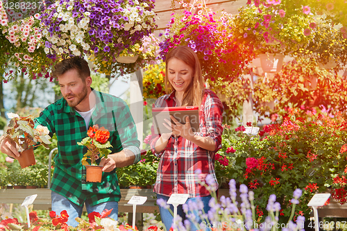 Image of Man showing flower to woman