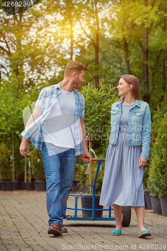 Image of Gardeners pulling tree on wagon