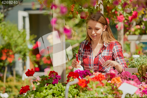 Image of Woman spraying water on flowers