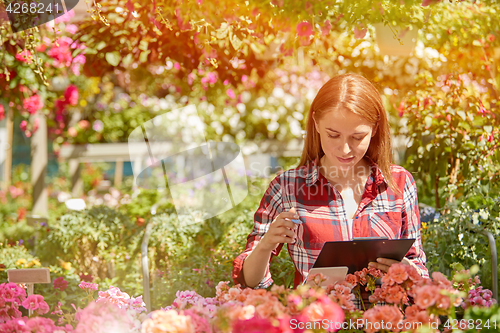 Image of Woman working with garden flowers