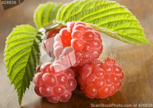 Image of raspberry