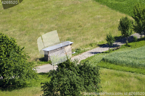 Image of pile of wood in the green