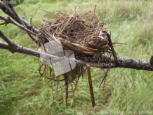 Image of Empty nest