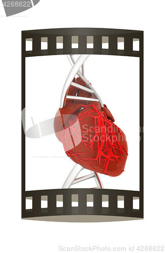 Image of DNA and heart. 3d illustration. The film strip