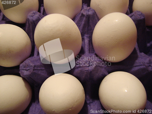 Image of eggs