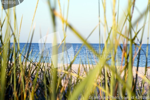 Image of The dark blue sea which is seen through a grass