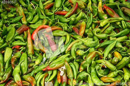Image of green pepper background