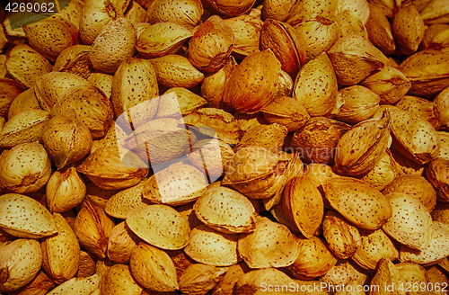 Image of fresh almonds background