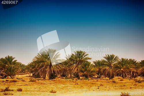 Image of tunisia sand country 