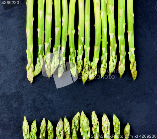 Image of Fresh Asparagus Sprouts