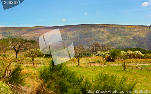 Image of Portuguese Rustic Landscape