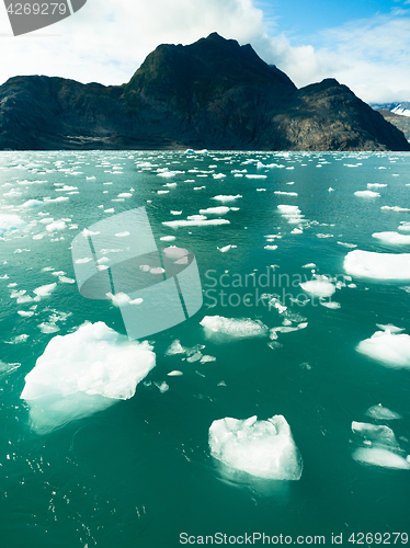 Image of Floating Icebergs Pacific Ocean Aialik Bay Alaska North America