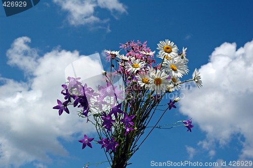 Image of Summer bouquet