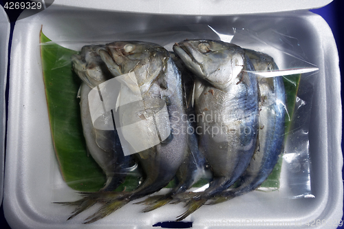 Image of Mae Klong Mackerel fish sold on market