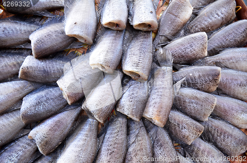 Image of Sea food market in Maeklong Railway Market