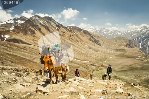 Image of Donkey with load in Nepal