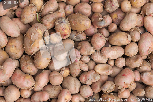 Image of Potatoes