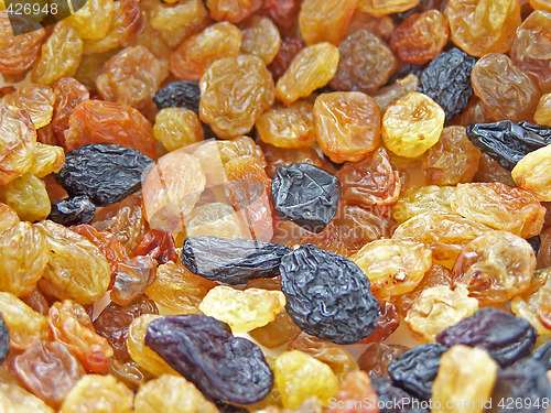 Image of Different raisins