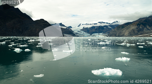 Image of Glacial Flow Kenai Fjords Alaska Harding Ice Field Aialik Glacie