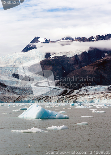 Image of Floating Icebergs Pacific Ocean Aialik Bay Alaska North America