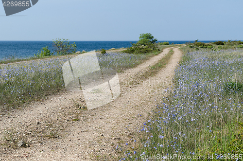 Image of Beautiful coastal gravel road