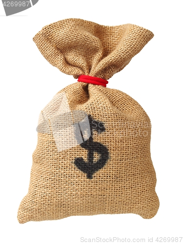 Image of Money bag on white