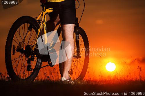 Image of Sporty Man Riding a Bicycle on the Country Road.