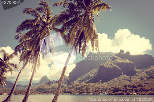 Image of Cook’s Bay and lagoon in Moorea Island