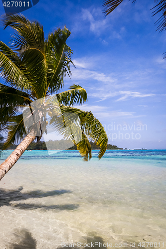 Image of Paradise tropical beach and lagoon in Moorea Island