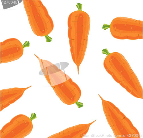 Image of Vegetable carrot on white