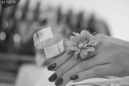 Image of woman fingers with french manicure