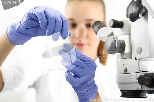 Image of Laboratory, lab technician prepares a sample 