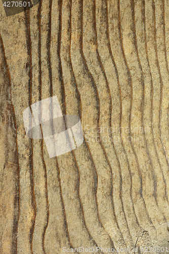 Image of texture of fir plank