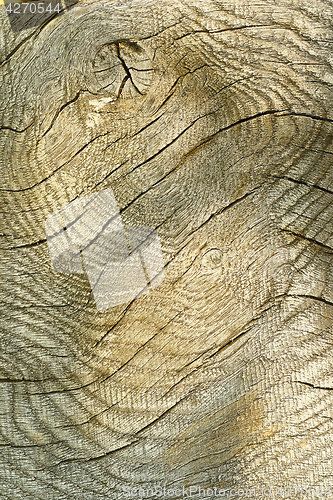 Image of texture of wooden plank for your design