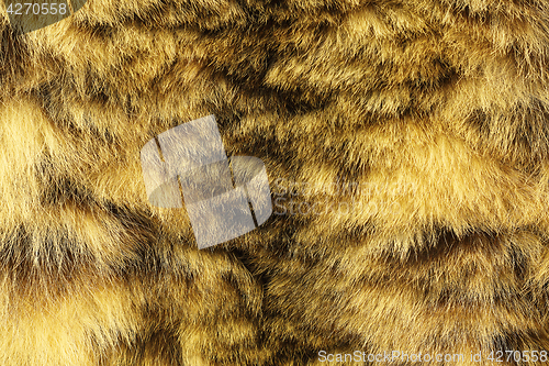 Image of colorful texture of snow leopard fur