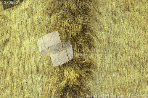 Image of european lynx textured fur