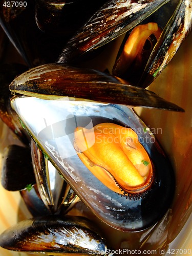 Image of Cooked mussels