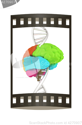 Image of Brain and dna. 3d illustration. The film strip