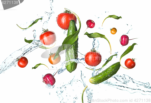 Image of The fresh tomatos, cucumbers, radish in spray of water.