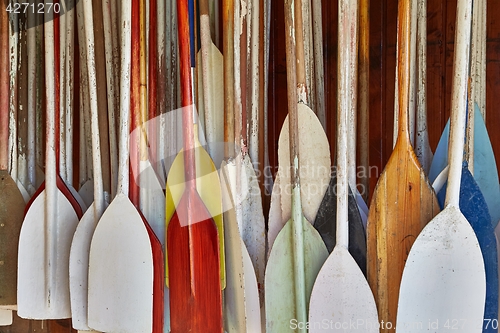 Image of Paddles In Storage