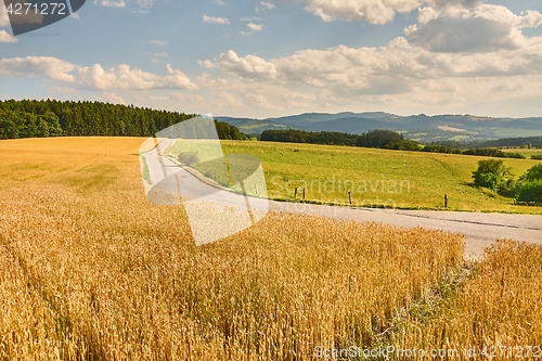 Image of Road through farmlands